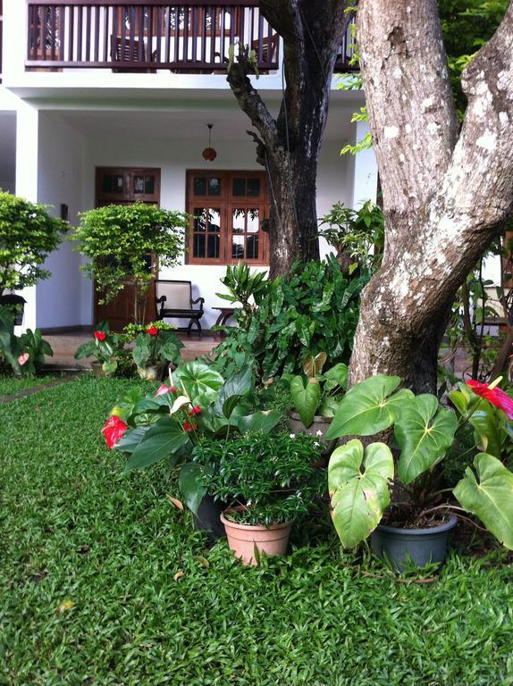 Little Paradise Tourist Guest House And Holiday Home Anuradhapura Exterior foto
